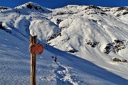 Sulle nevi dei panoramici e soleggiati Piani dell’Avaro, ben innevati , ad anello il 5 febbraio 2019 - FOTOGALLERY